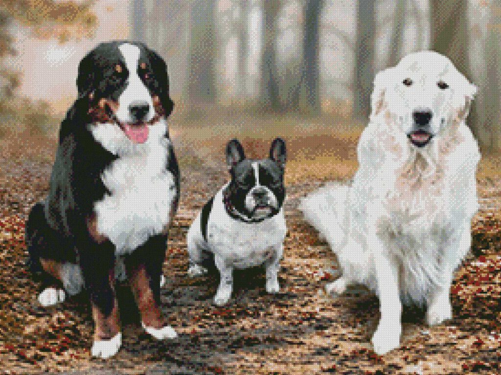 Honden patroon fotoborduren