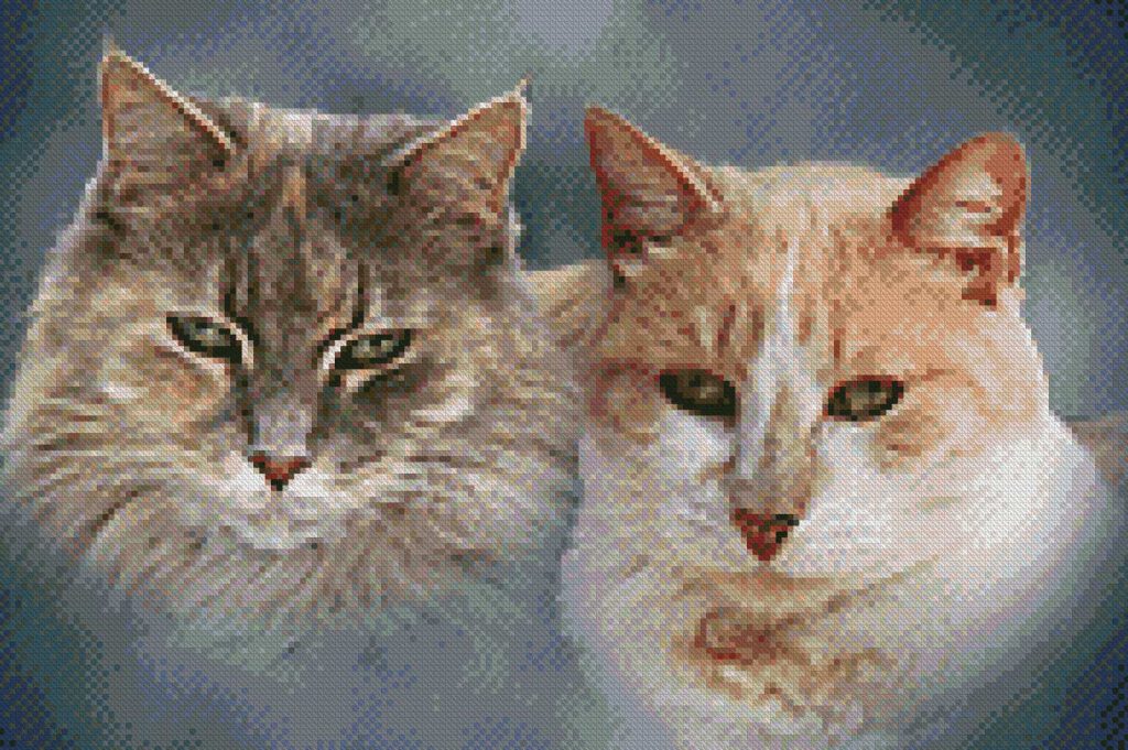 Katten borduurpatroon