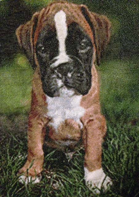 Portret Pup eindresultaat foto borduren