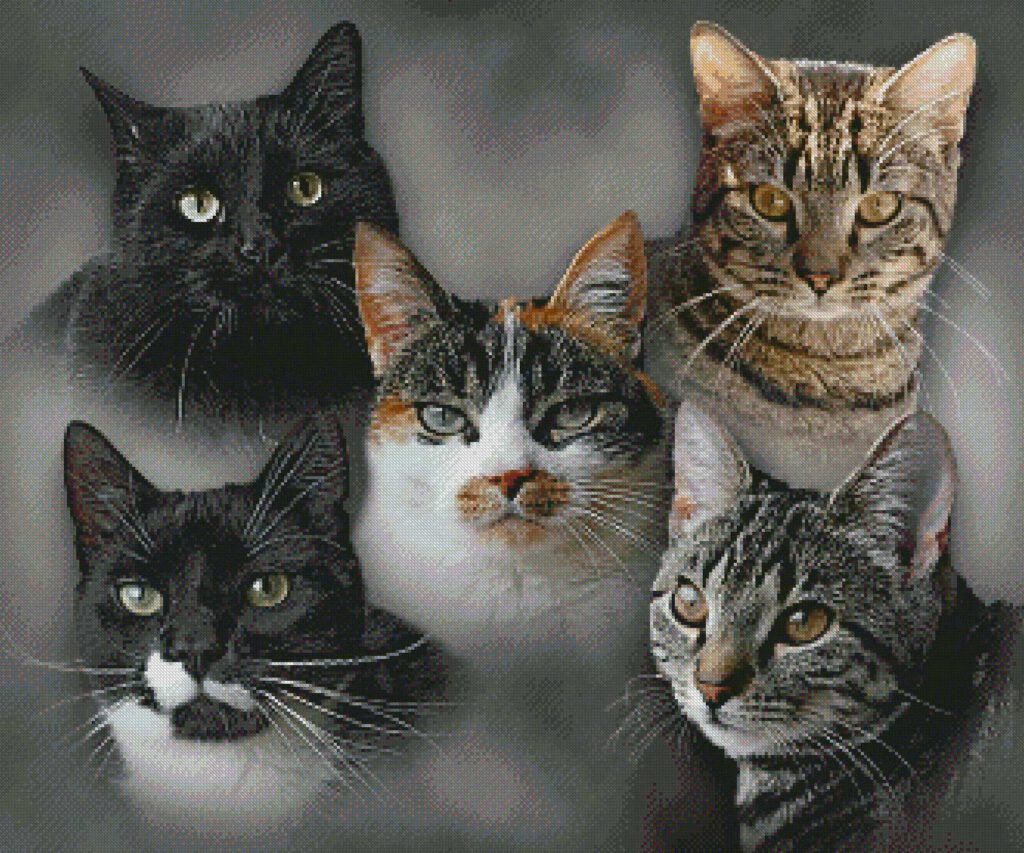 Collage Katten borduurpatroon