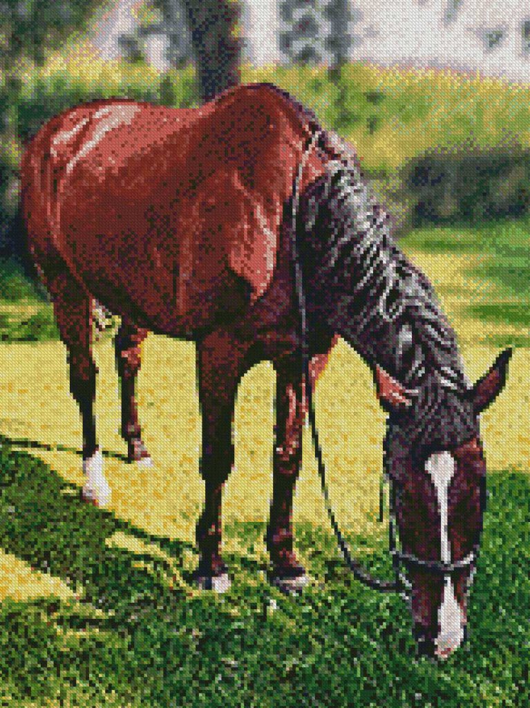 Paard patroon foto borduren