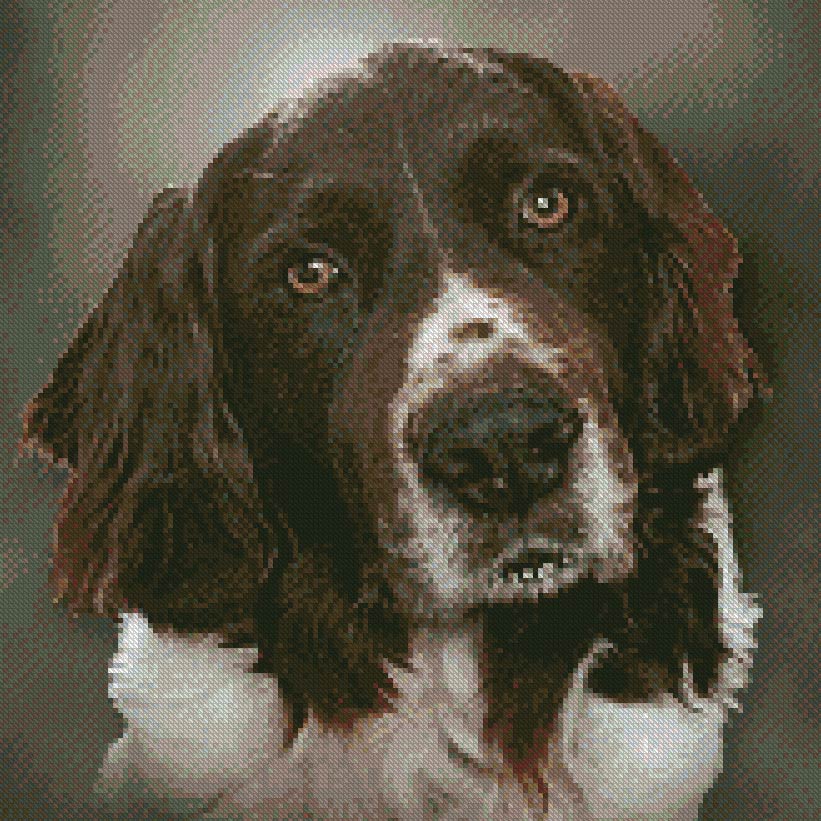 Portret Hond foto borduurpatroon