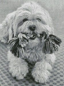 portret hond voorbeeld1